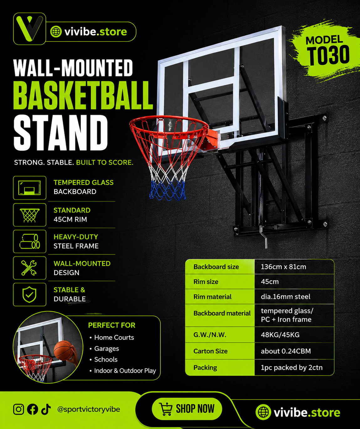 Wall-Mounted Basketball Stand (Model T030)